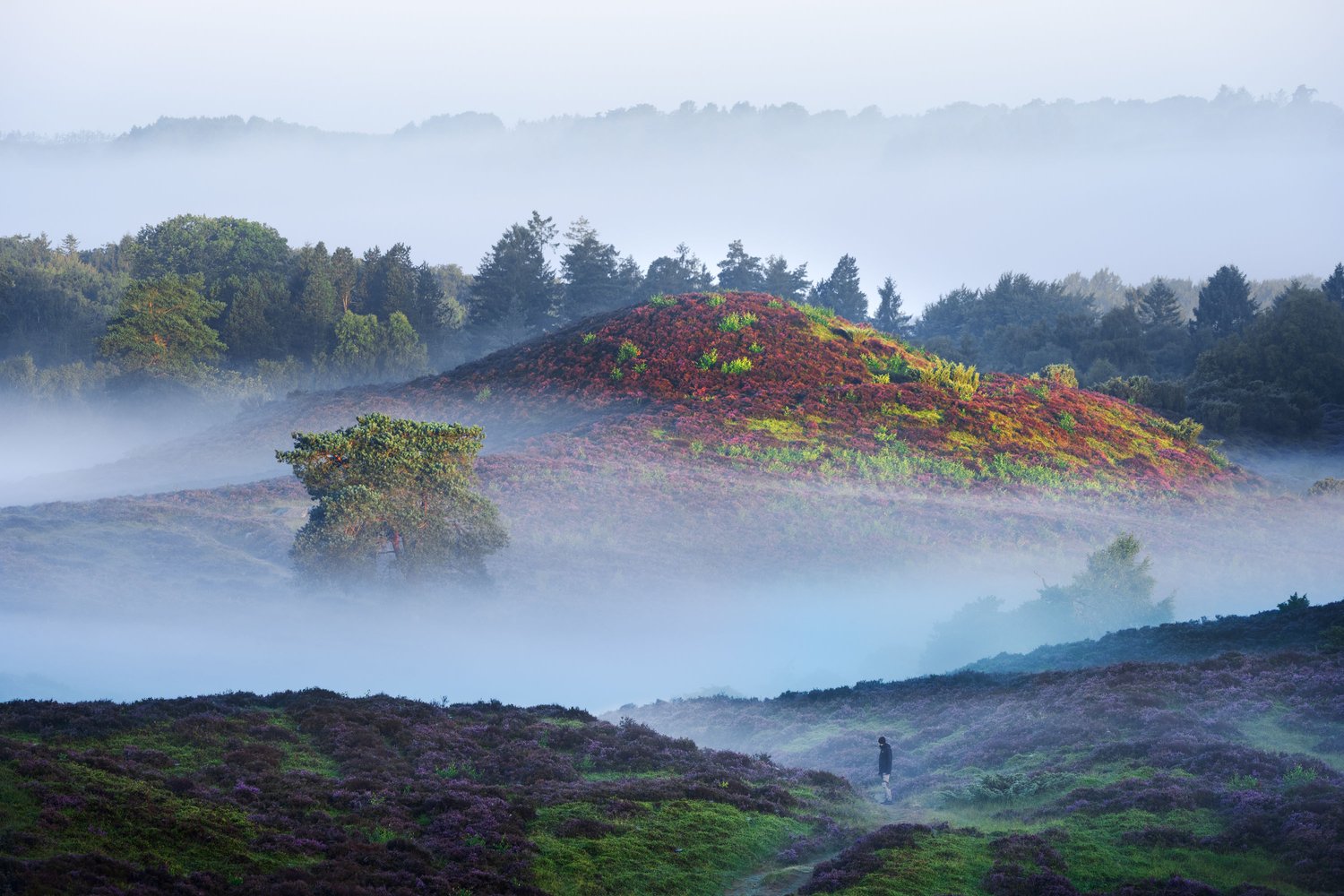 Ø Bakker Danish landscape photography heather lyng ling morning sunrise fog atmosphere 25