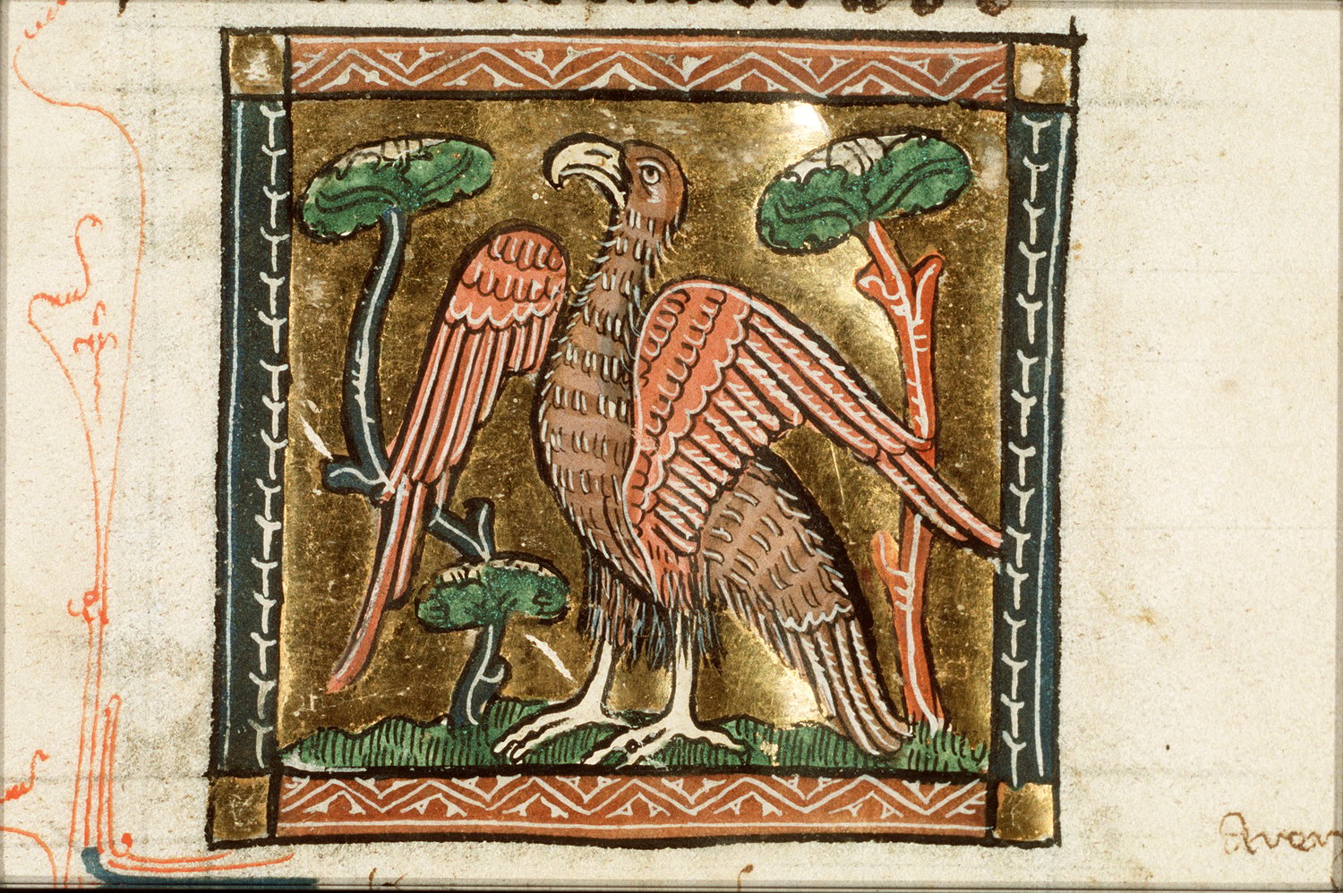 A miniature from an illuminated manuscript. We can see an eagle standing proudly in front of two small, stylised trees. The background is gold leaf.