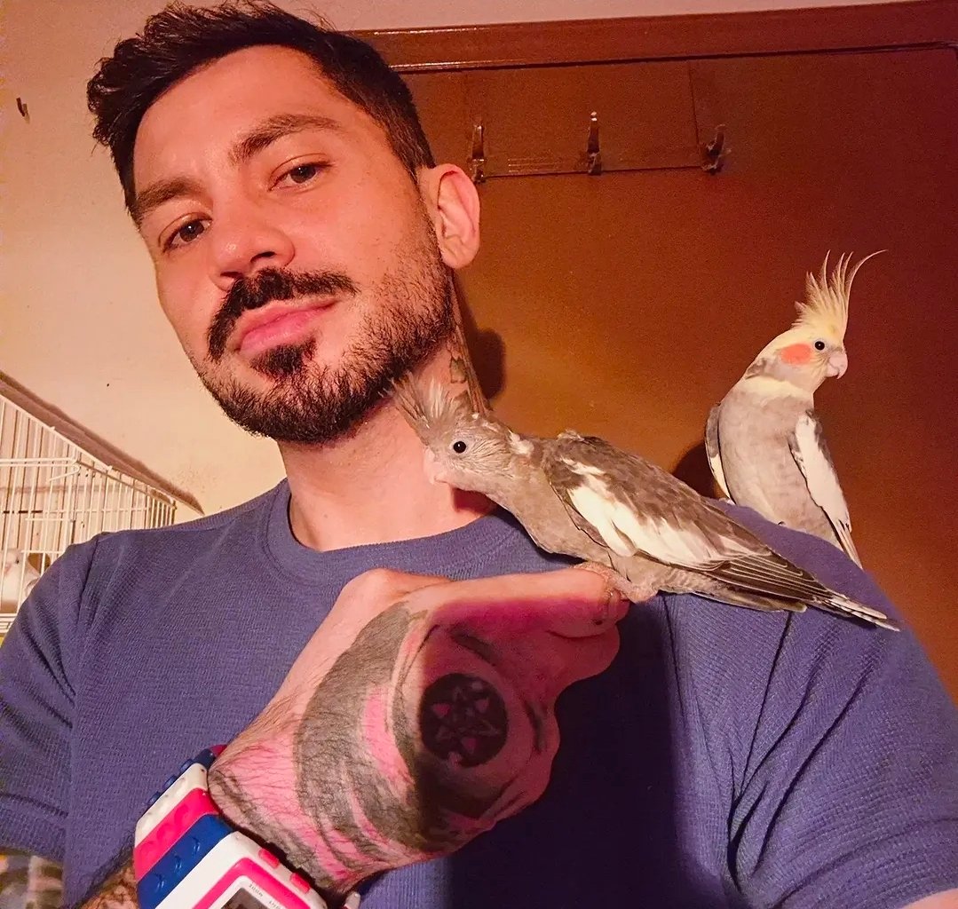 Two beautiful cockatiels return for their routine veterinary check-up, highlighting the importance of preventative care and lifelong animal health at The Animal Rescue Organization.