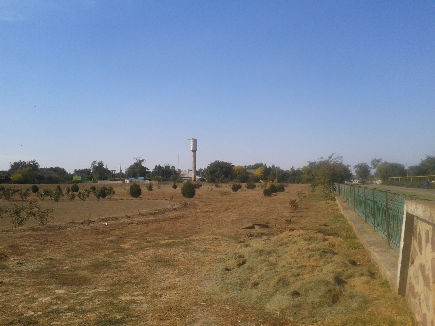 From Open Steppe to a 30,000 m² Public Park | Landscape Design Case Study