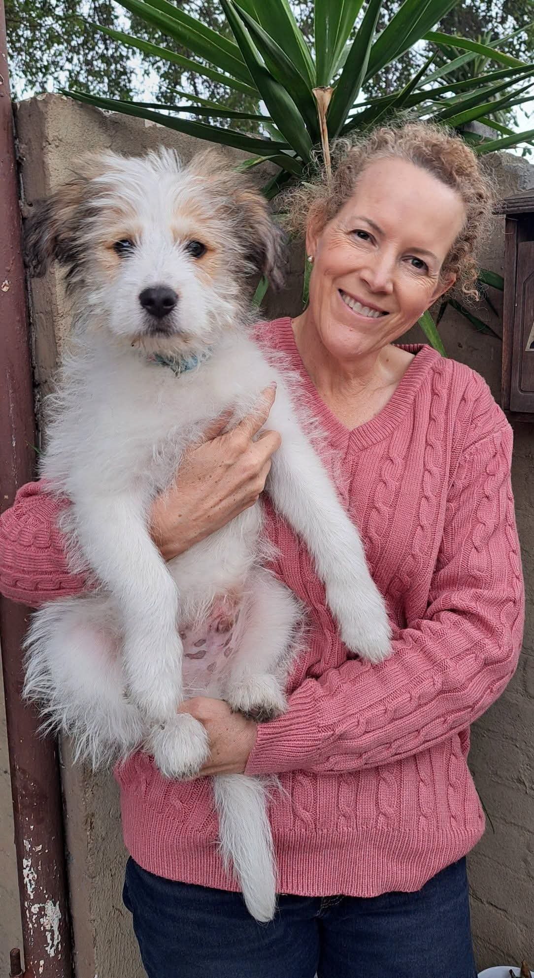 Read how rescued dog Arlo found his loving forever home in San Francisco, complete with trail walks, a beautiful garden and puppy classes.