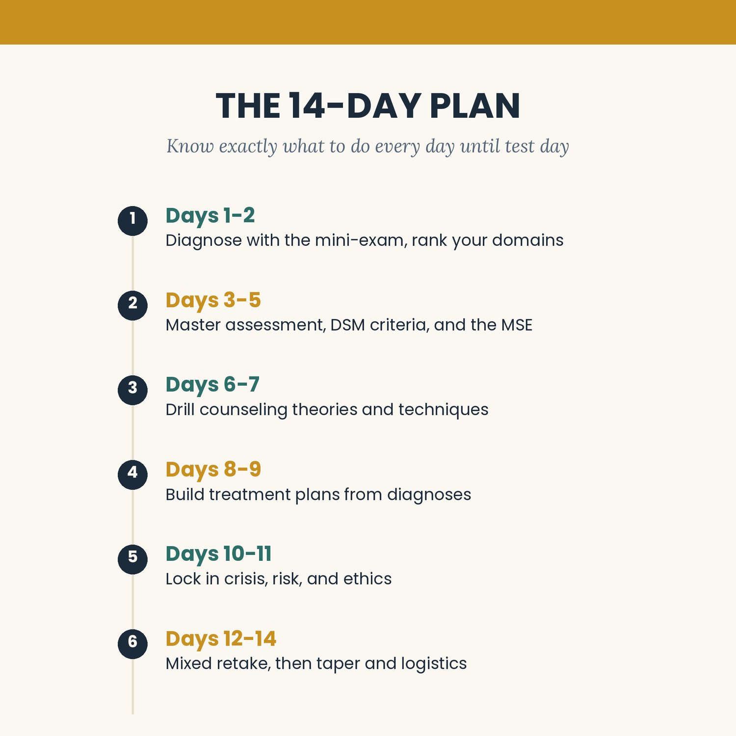 NCMHCE 14 Day Accelerator, preview image 4 of 7