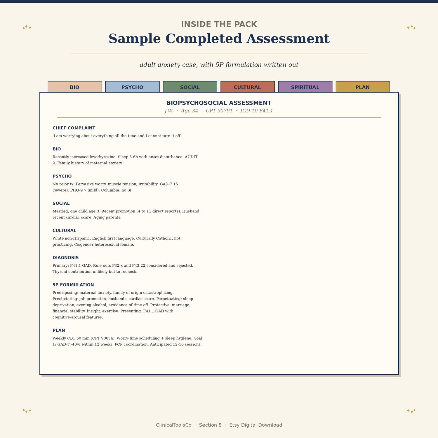 Biopsychosocial Assessment Template for Mental Health Intake, preview image 7 of 9
