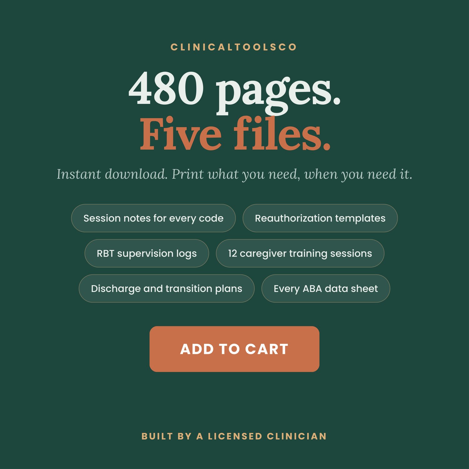 BCBA Case Manager Bundle, preview image 9 of 9