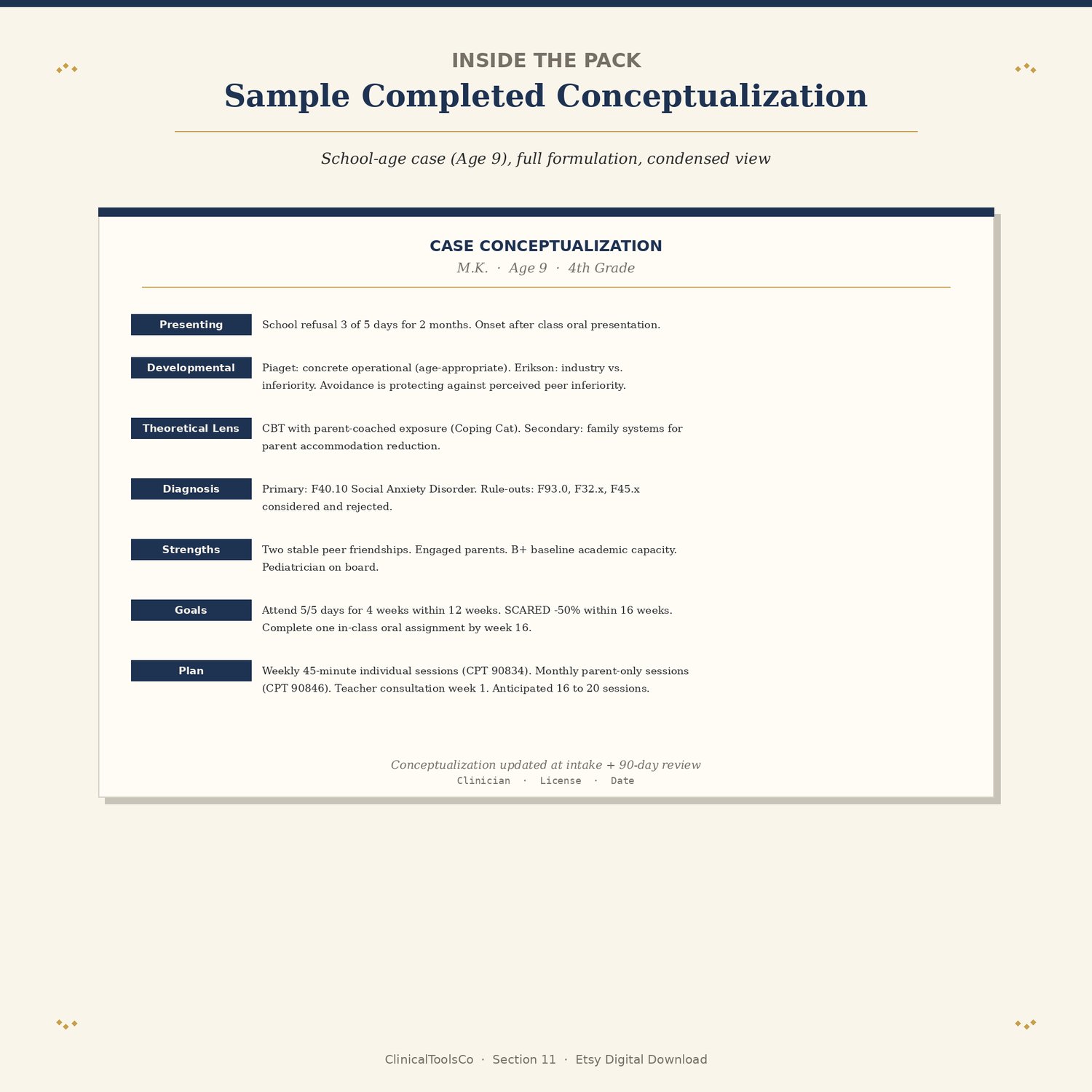 Child and Adolescent Case Conceptualization Template, preview image 7 of 9
