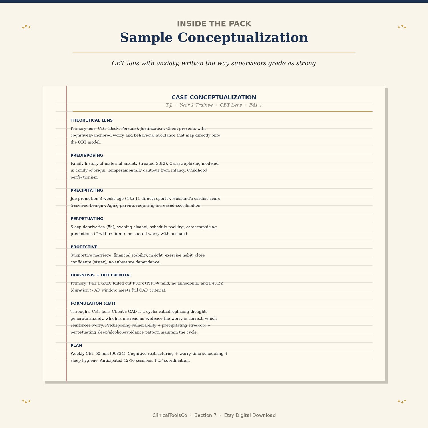 Case Conceptualization Template, preview image 8 of 9