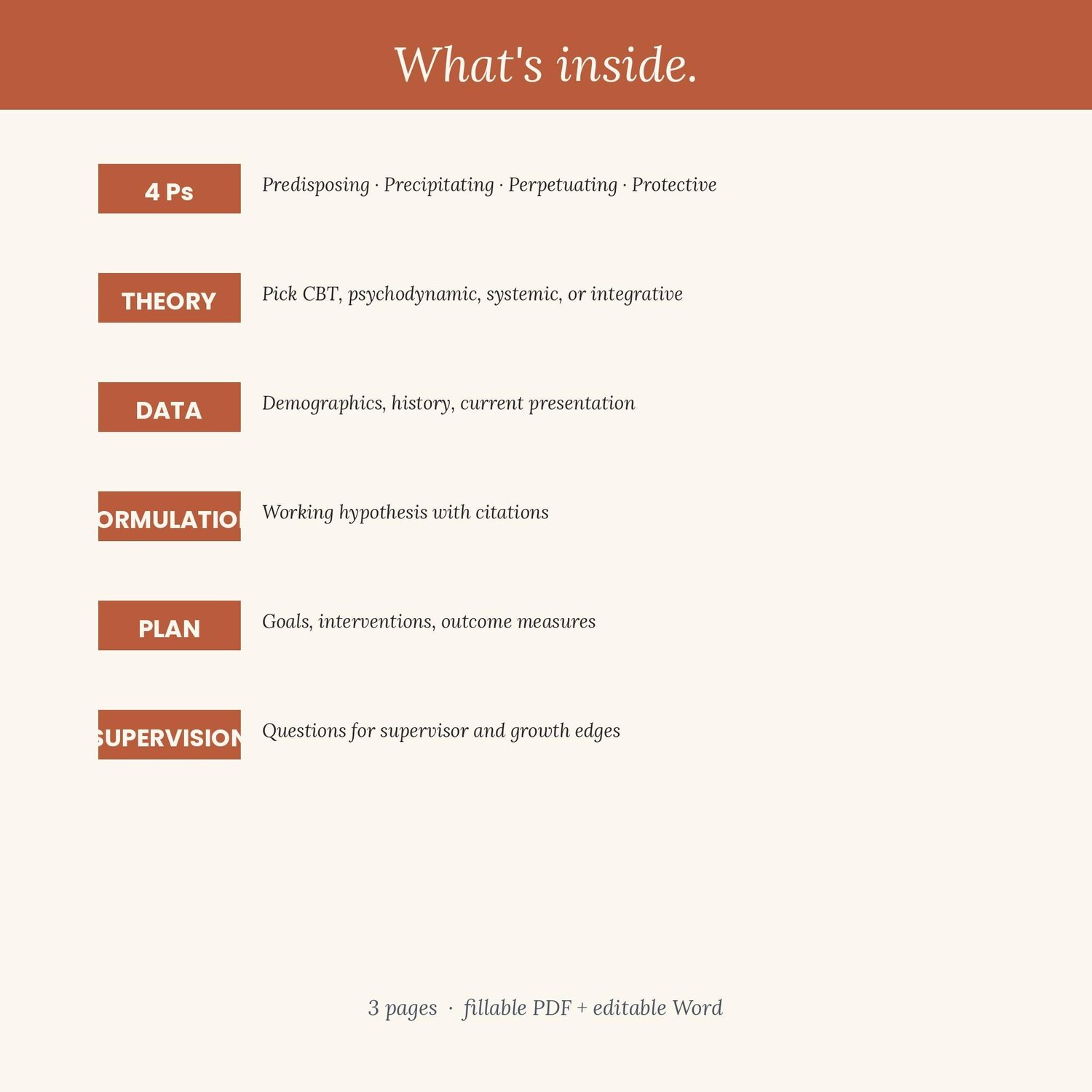Case Conceptualization Template, preview image 3 of 9