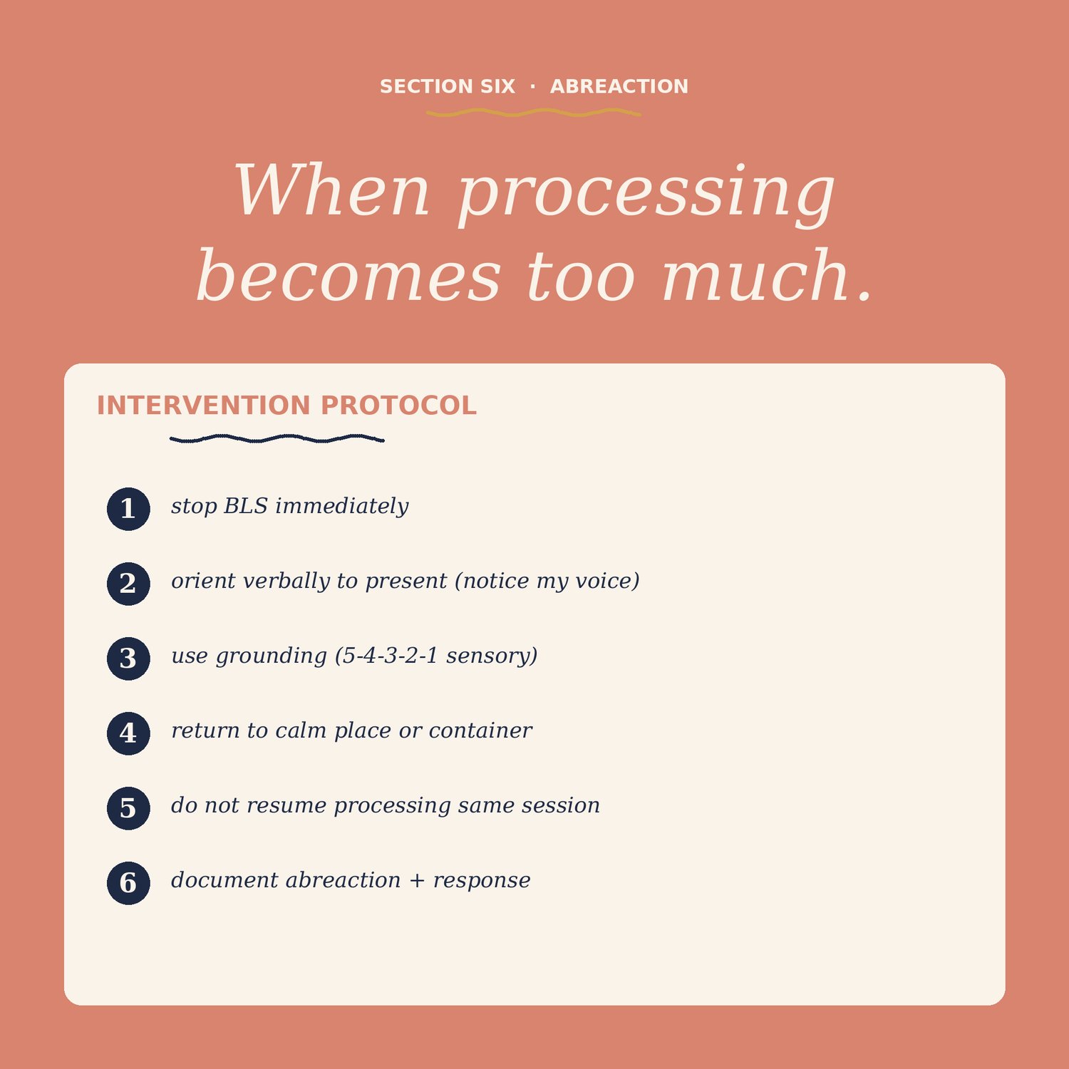 EMDR Documentation Toolkit, preview image 6 of 9