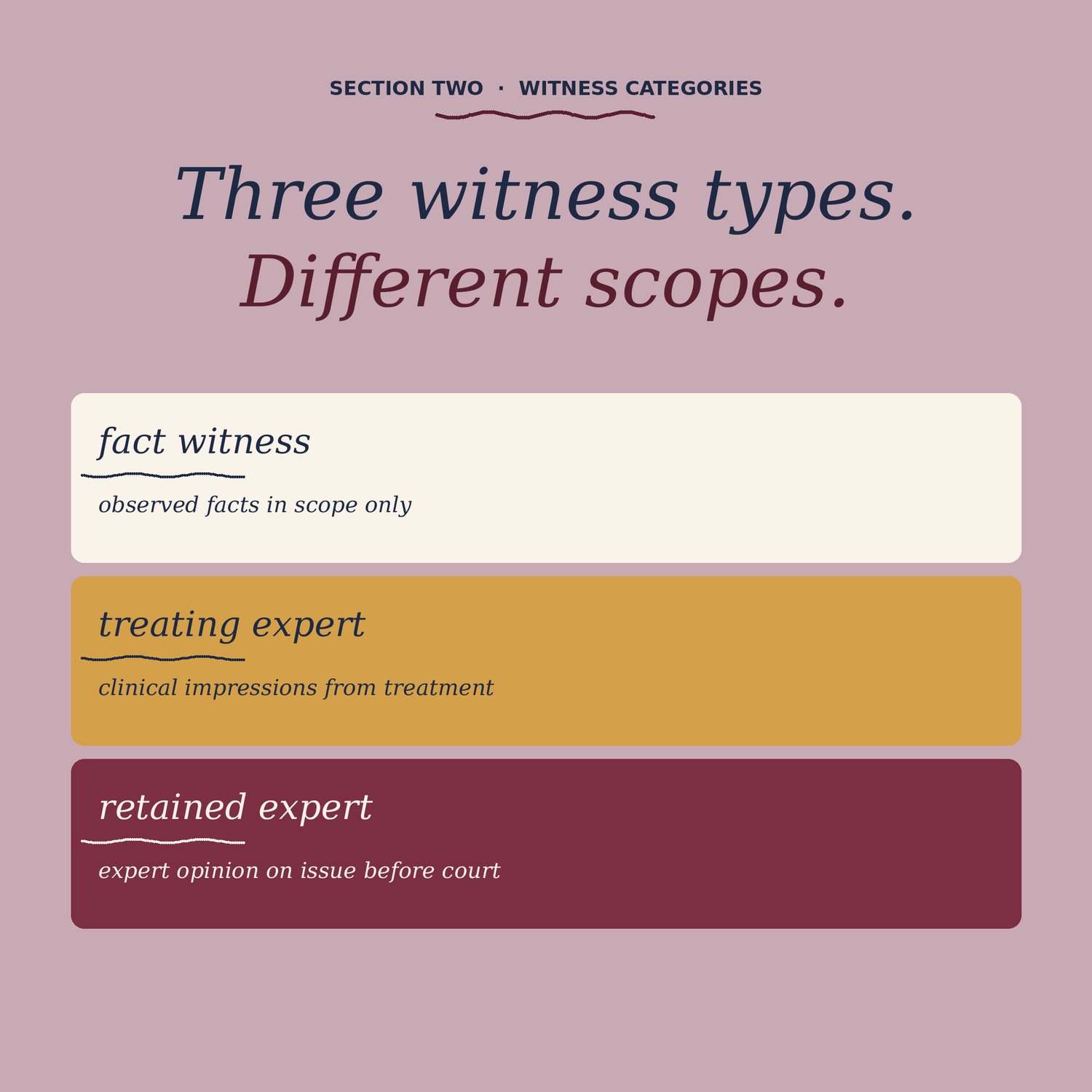 Court Documentation for Therapists, preview image 3 of 9