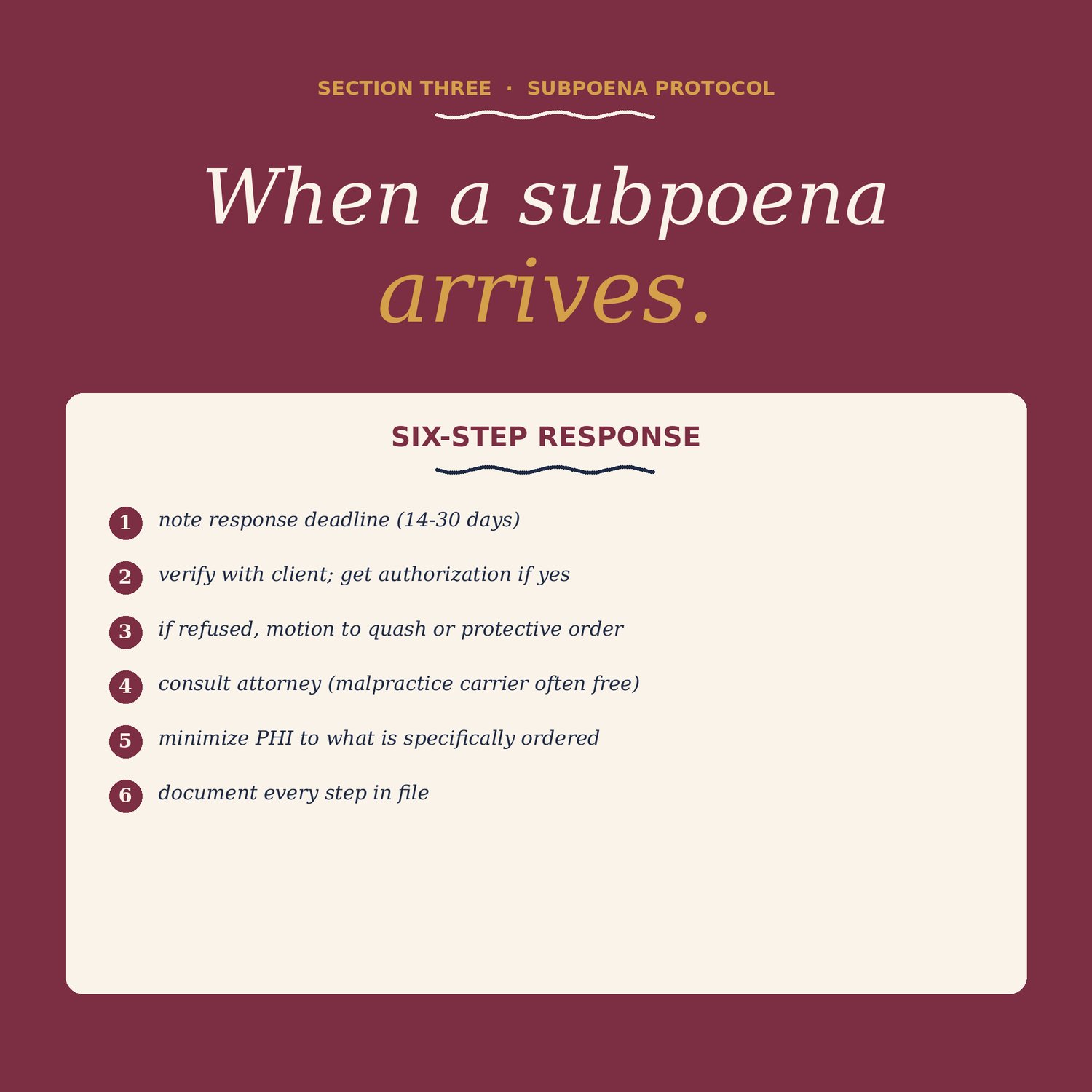 Court Documentation for Therapists, preview image 4 of 9