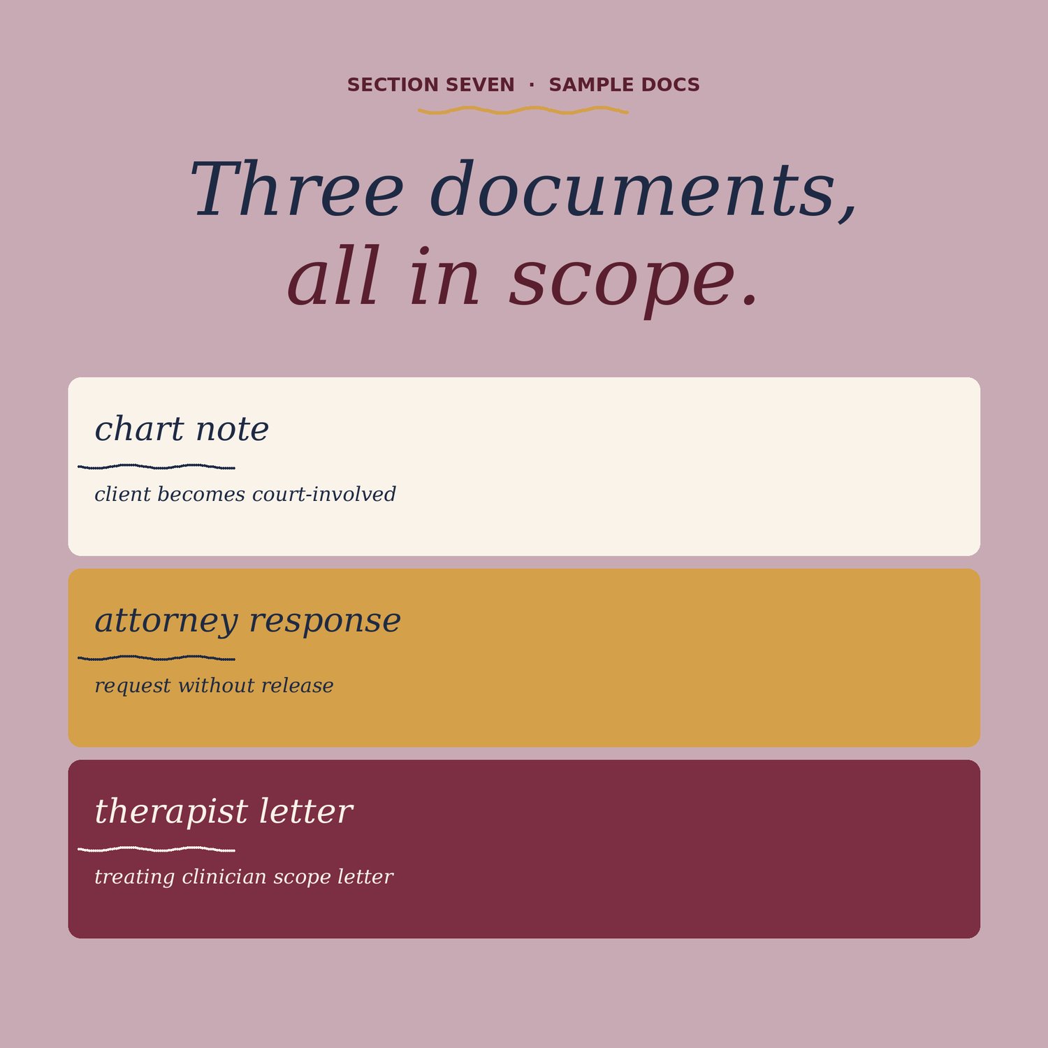 Court Documentation for Therapists, preview image 8 of 9