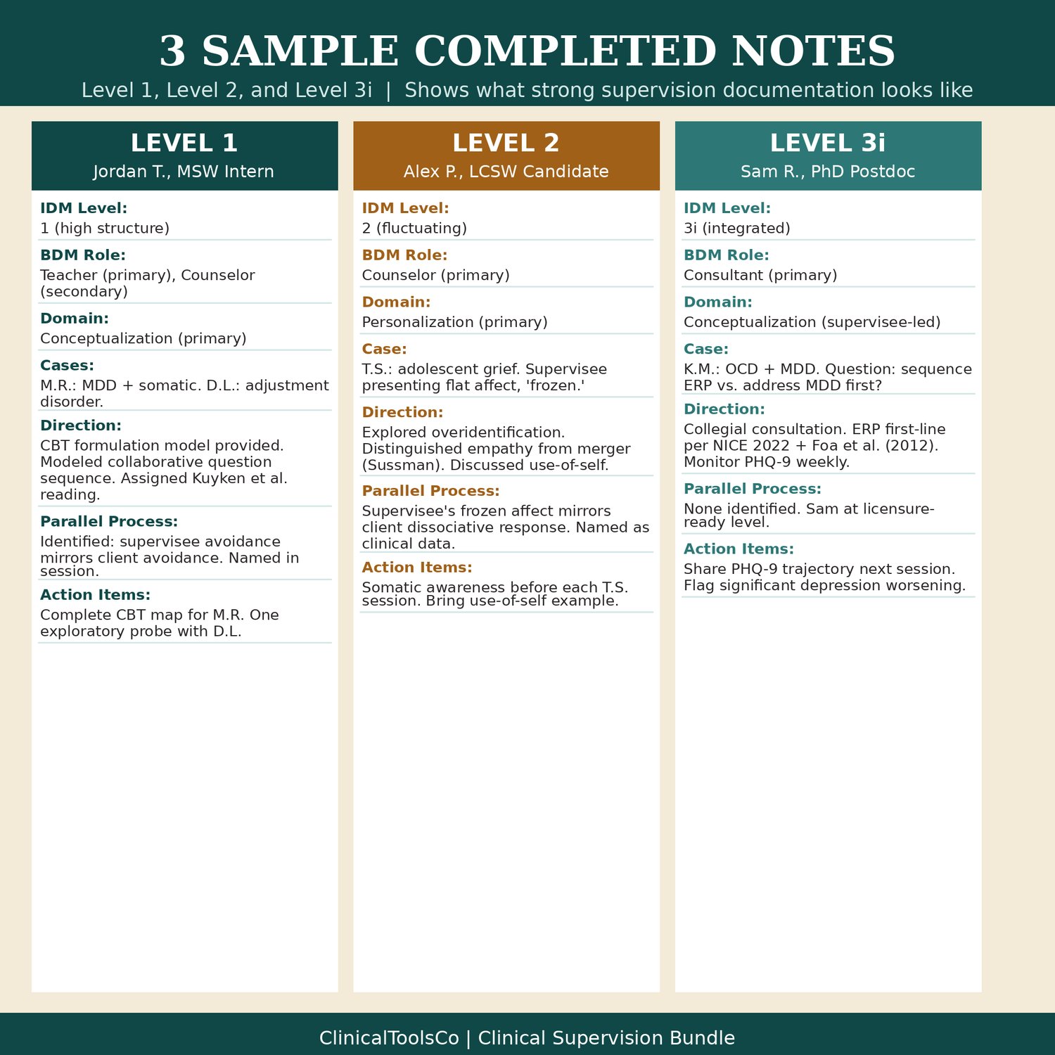 Clinical Supervision Bundle, preview image 6 of 9
