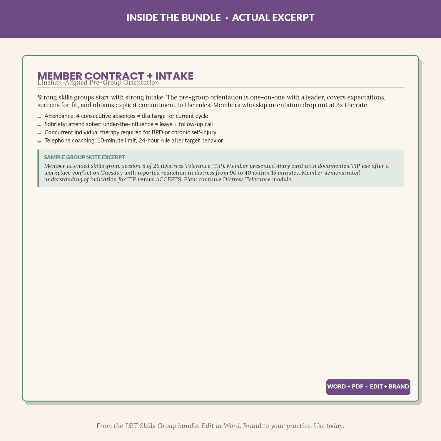 DBT Skills Group Kit, preview image 4 of 9