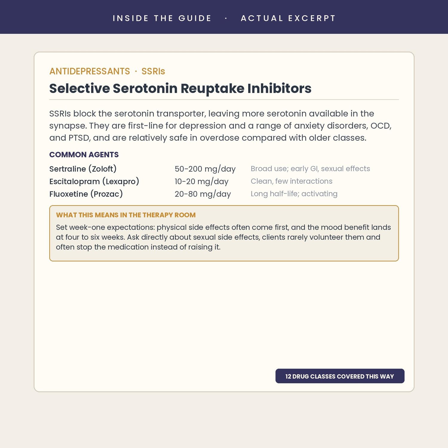 Psychopharmacology Guide for Therapists, preview image 4 of 9