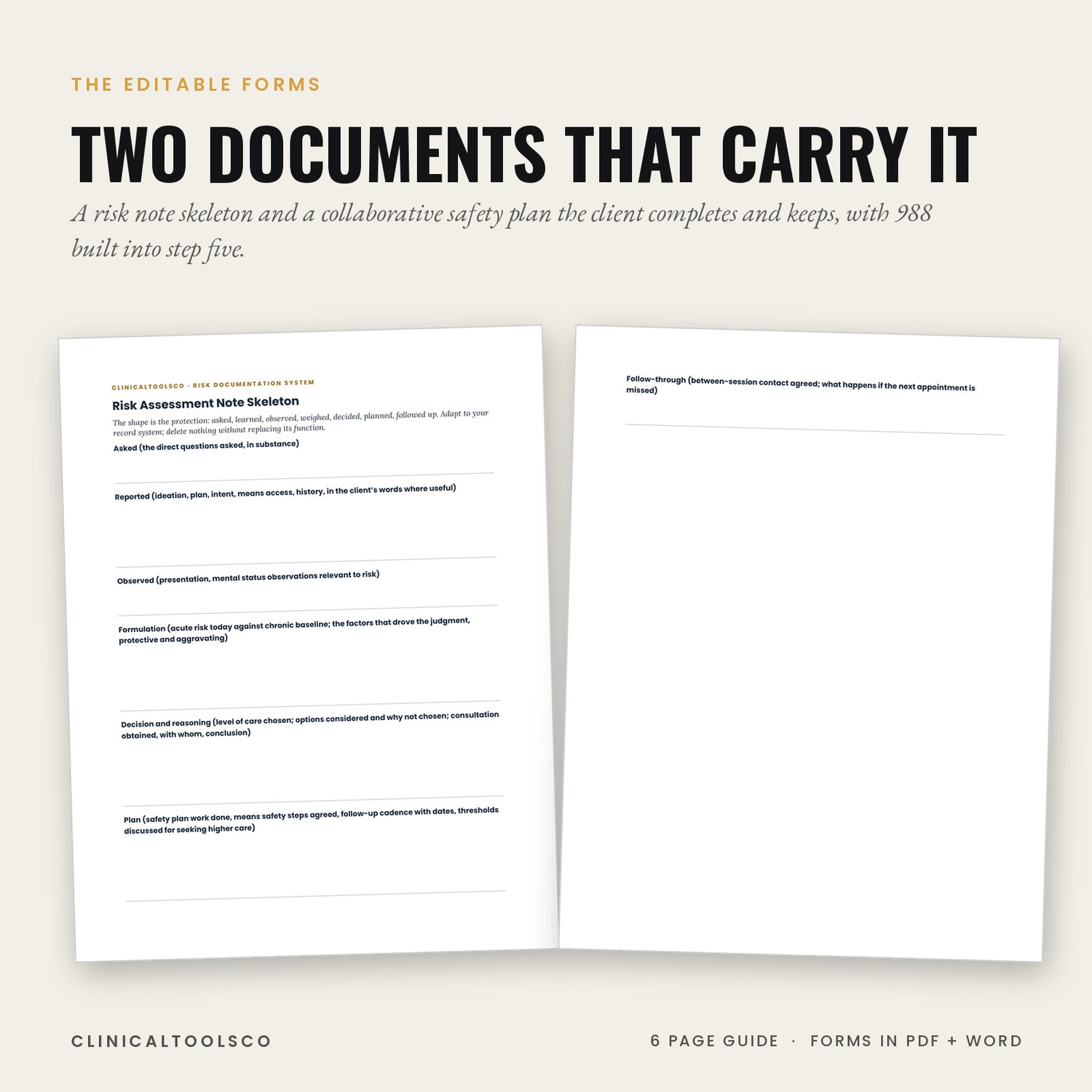 Risk Documentation and Safety Planning System for Clinicians, preview image 6 of 9