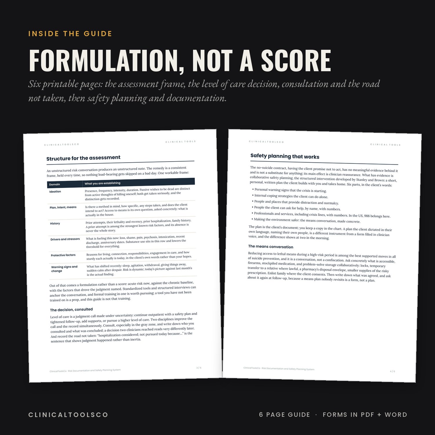 Risk Documentation and Safety Planning System for Clinicians, preview image 4 of 9