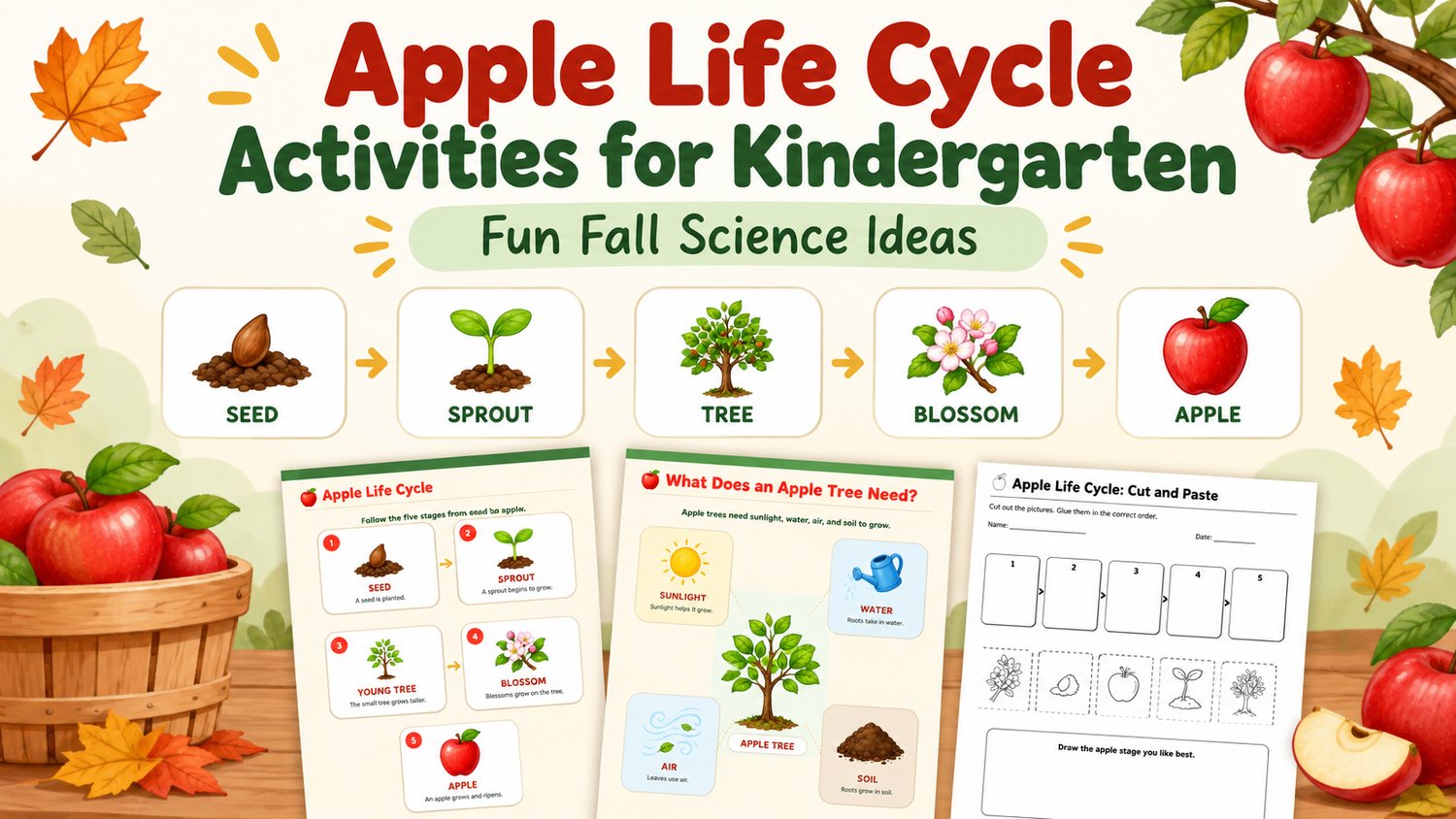Apple Life Cycle Activities for Kindergarten | Fun Fall Science Ideas