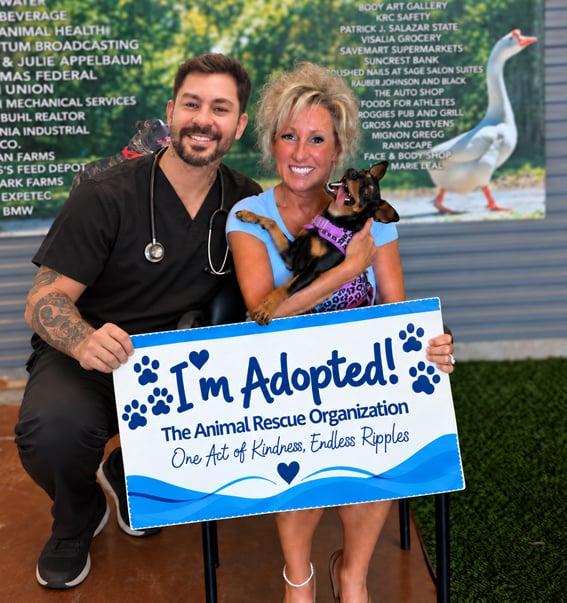 After arriving frightened and unsure, Pippa discovered love, confidence and happiness in foster care before finding the quiet, caring forever home she deserved.