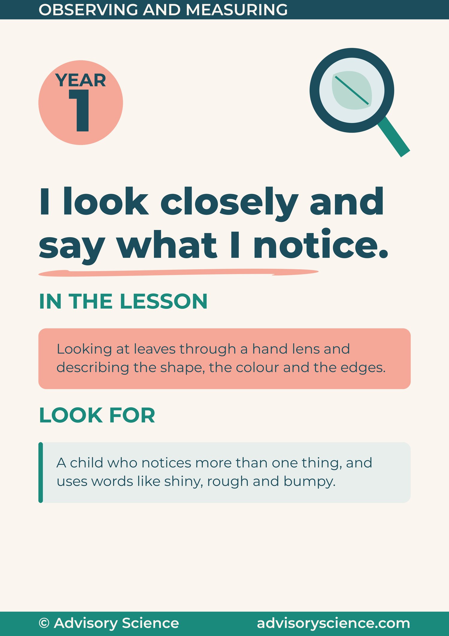 Year 1 working scientifically panel: I look closely and say what I notice, with a lesson example and what to look for