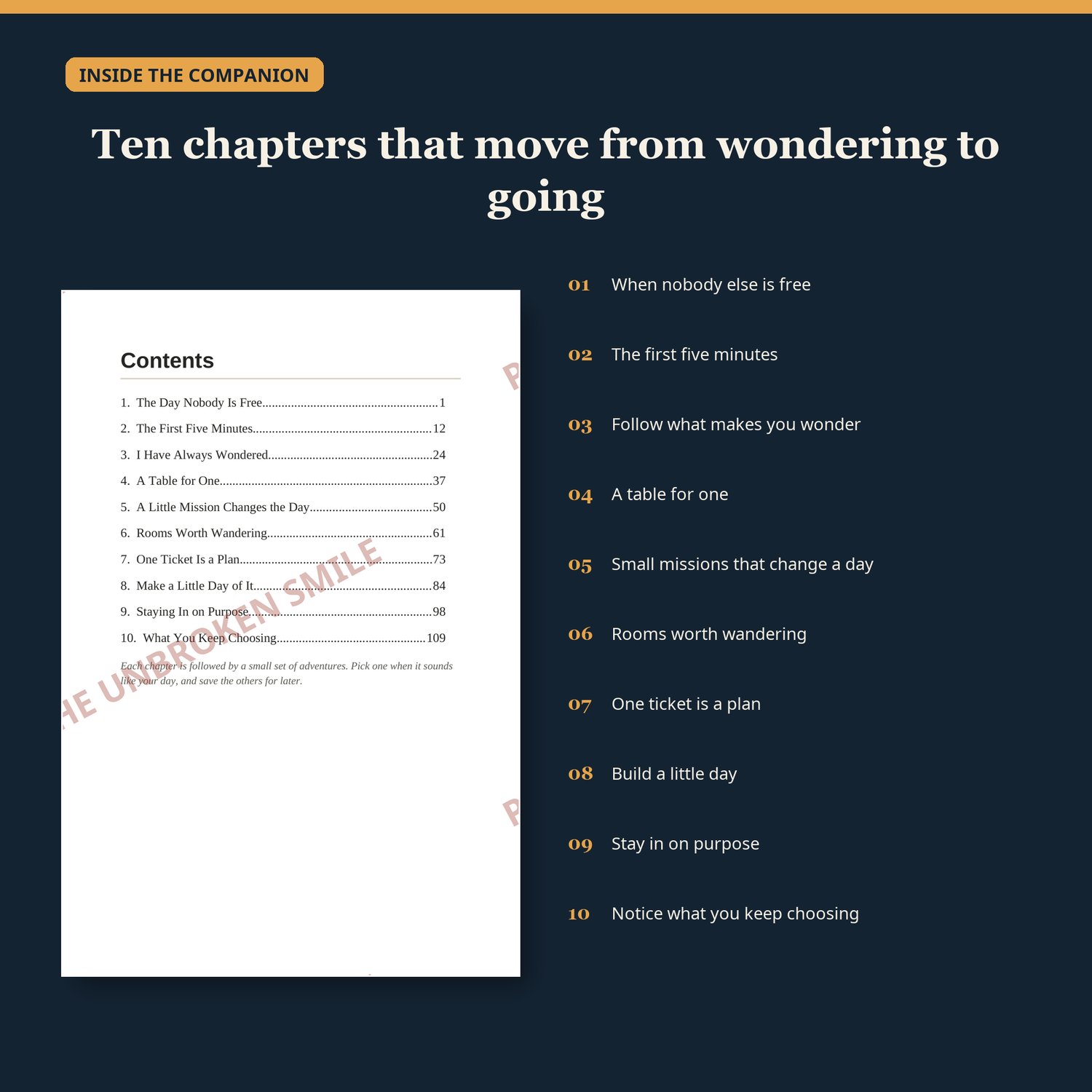 Watermarked contents page beside a list of the ten chapter themes in Meet Yourself Out There.