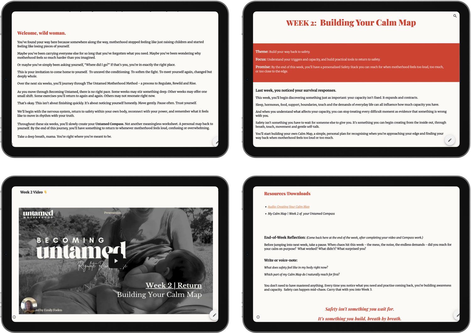 Example of programme pages