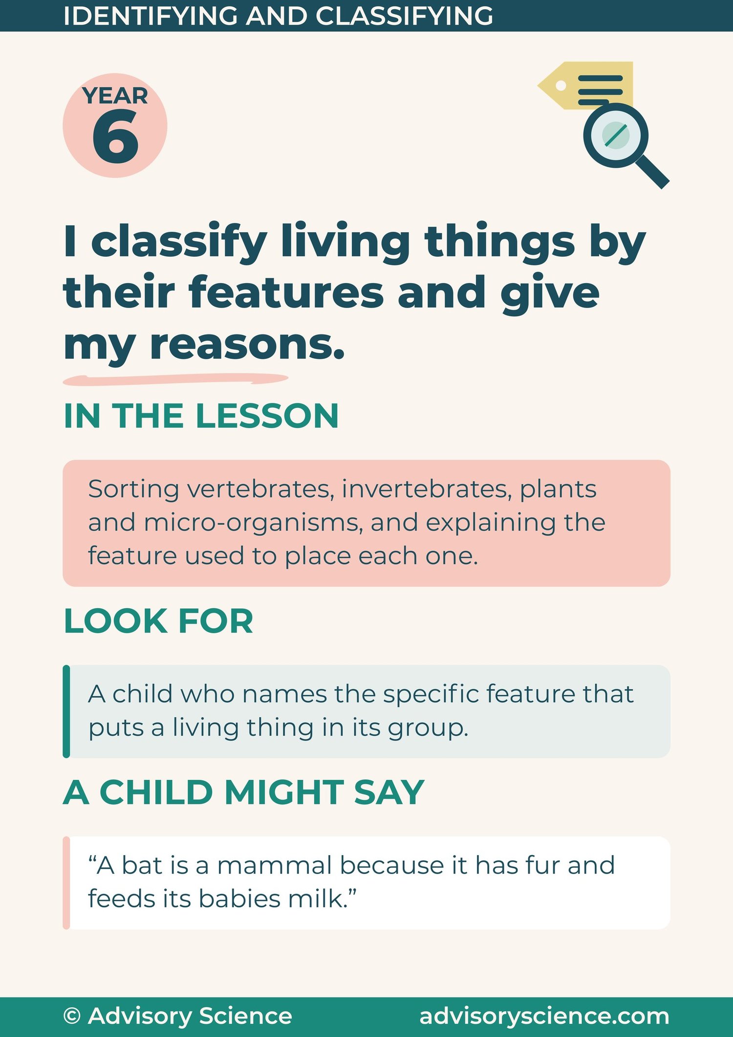 Year 6 working scientifically panel: I classify living things by their features and give my reasons, identifying and classifying