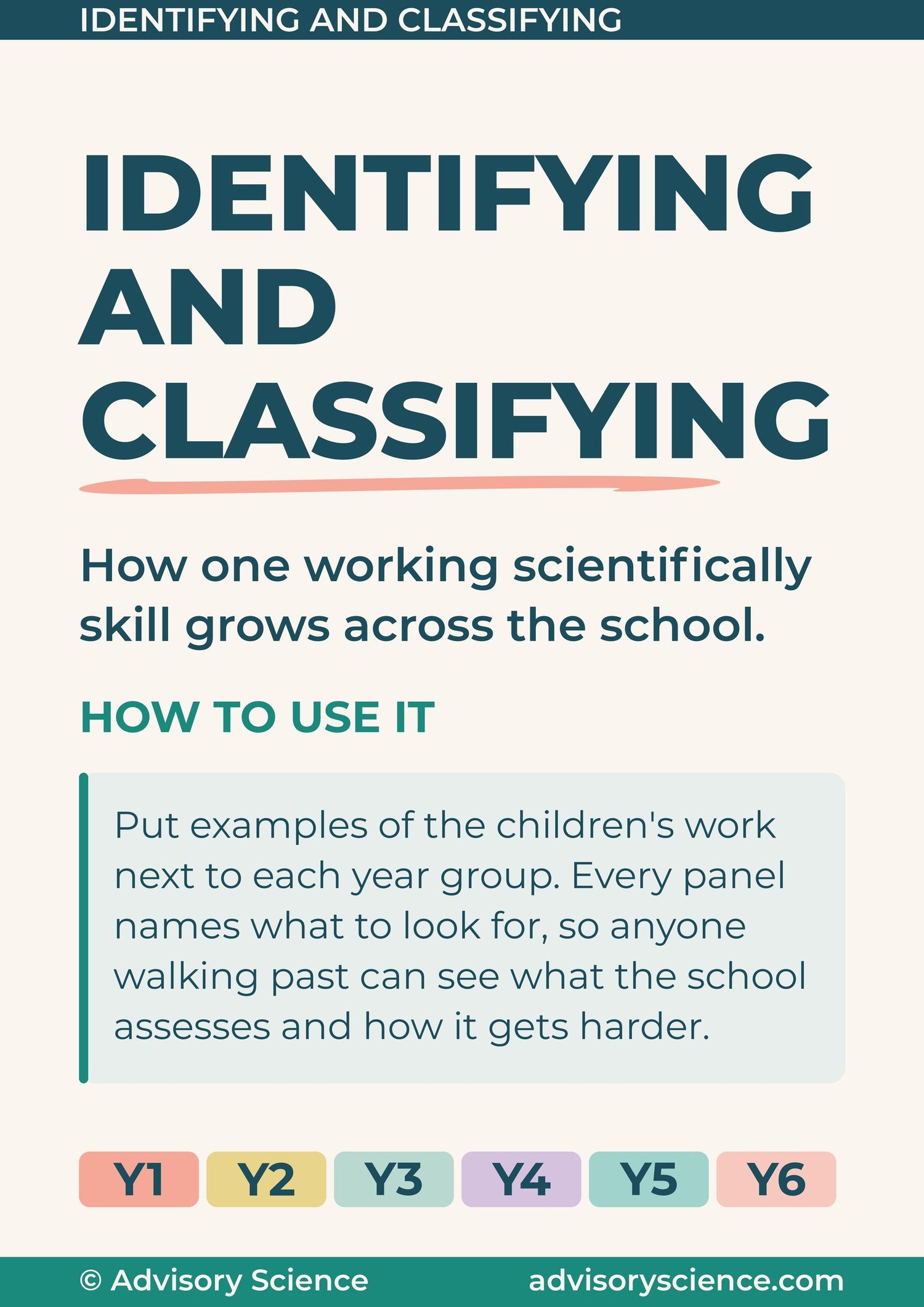 Working scientifically progression display header panel: identifying and classifying from Year 1 to Year 6