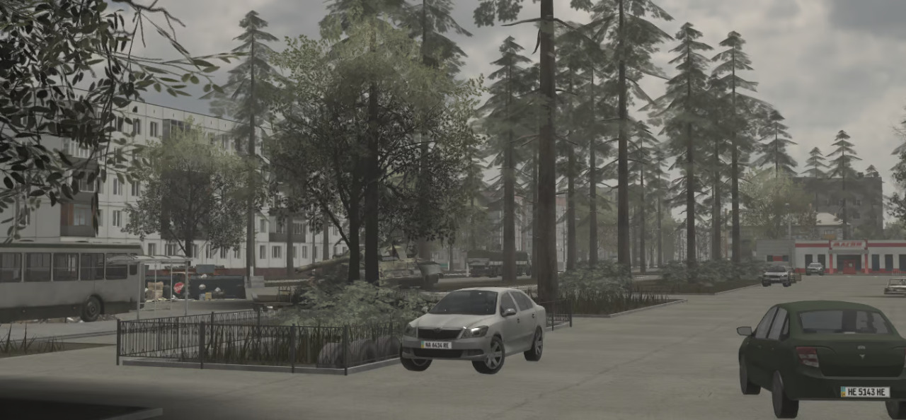 Dense pine forest surroundings