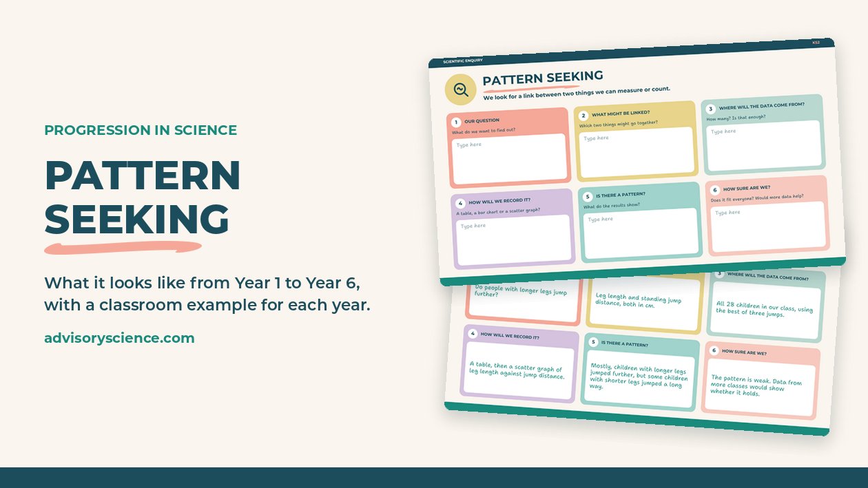 Pattern seeking from Year 1 to Year 6, with a primary science planning slide