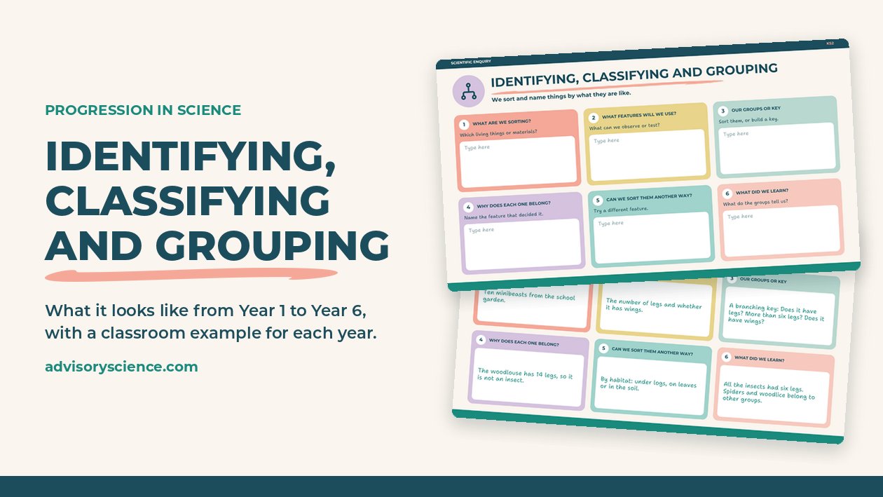Identifying, classifying and grouping from Year 1 to Year 6, with a primary science planning slide