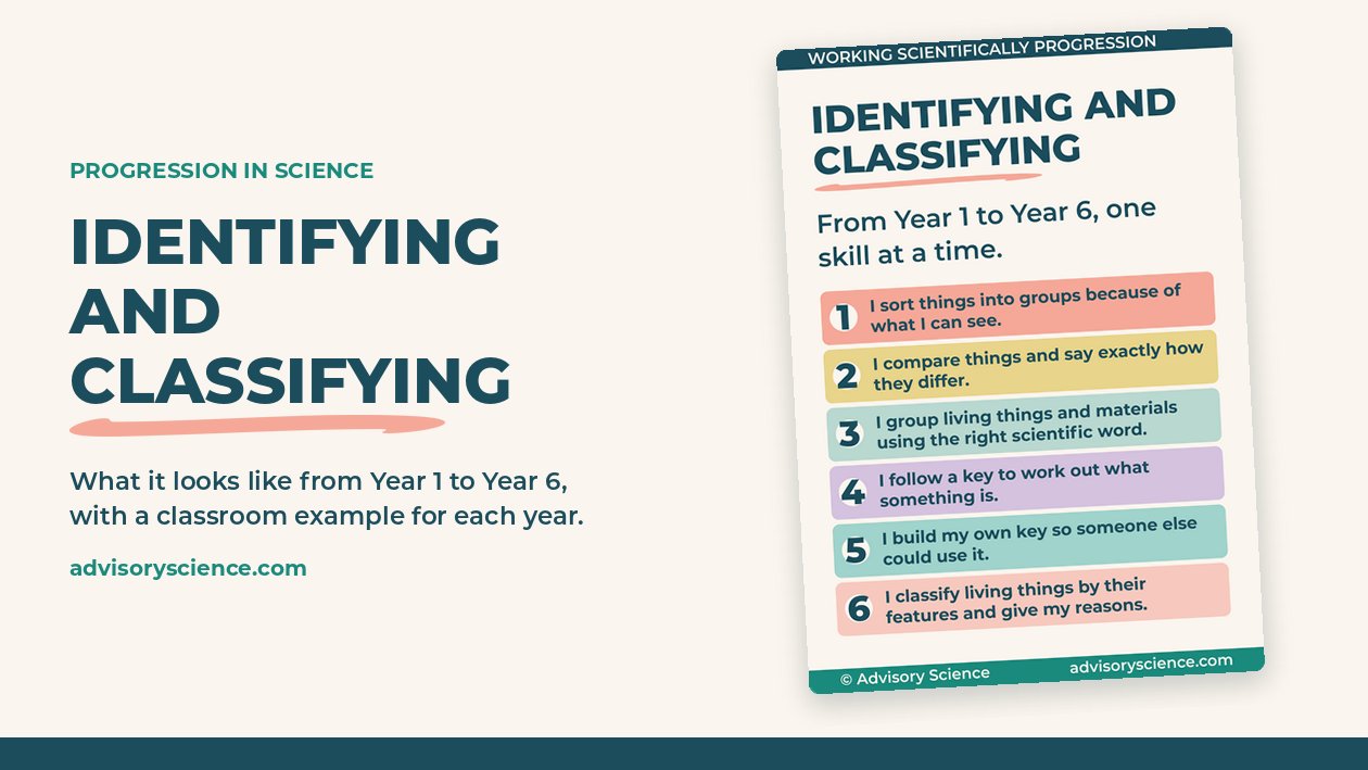 Identifying and classifying progression display from Year 1 to Year 6