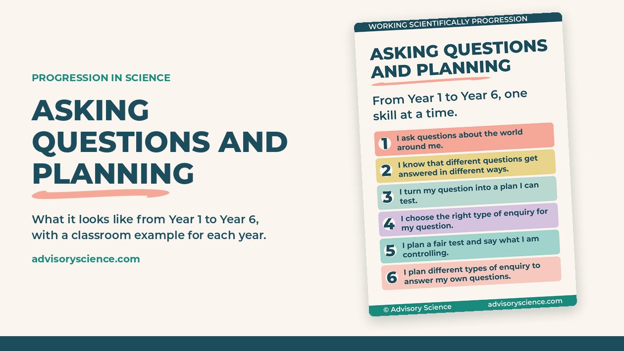 Asking questions and planning progression display from Year 1 to Year 6