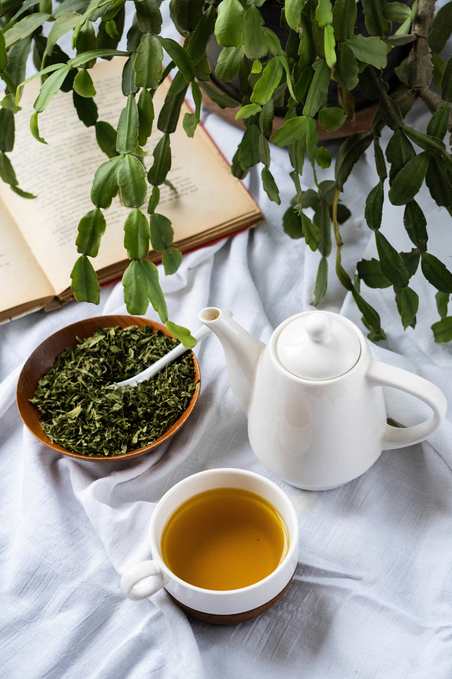 Why Your Herbal Tea Isn’t Working: 10 Reasons You May Not Be Getting What You Expected from Your Herbs
