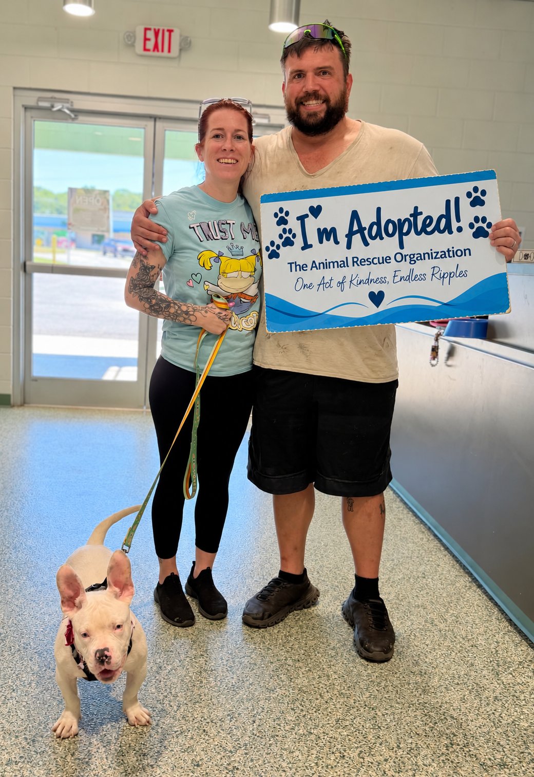Description: Scottie came close to losing his life, but with urgent veterinary care and the dedication of The Animal Rescue Organization, he survived and found a loving forever home.