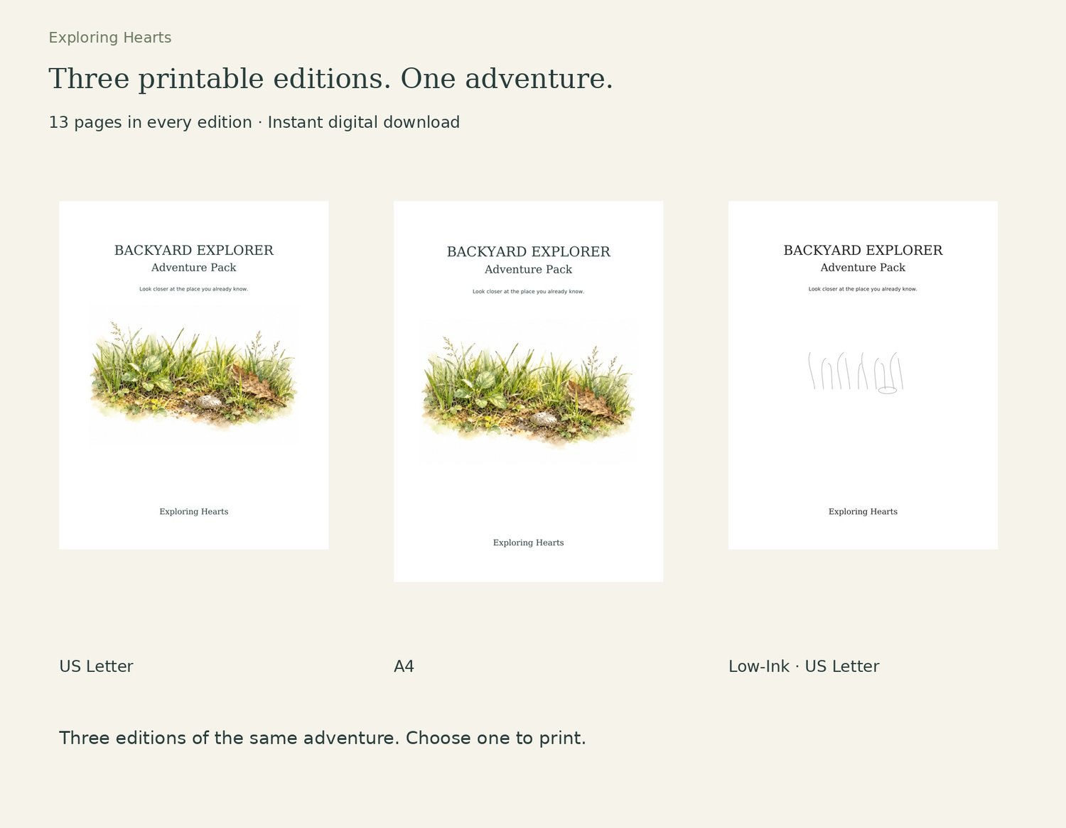Revised Backyard Explorer covers in US Letter, A4 and Low-Ink US Letter. Three editions of the same adventure.