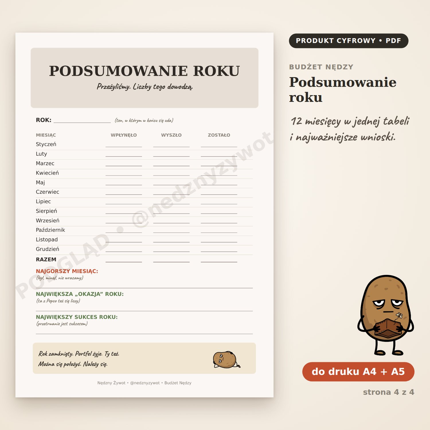 Podsumowanie roku: tabela 12 miesięcy z kolumnami wpłynęło, wyszło i zostało oraz pola na najgorszy miesiąc i największy sukces roku.