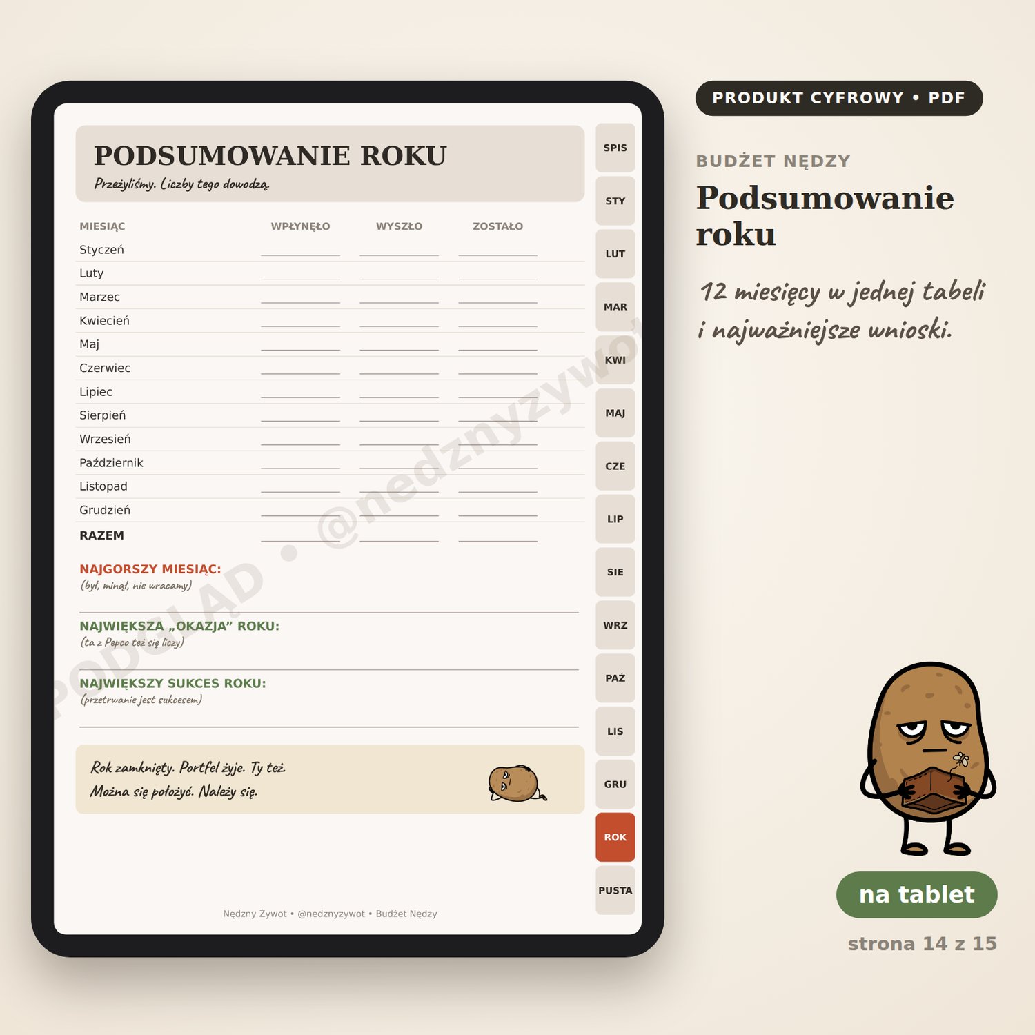 Podsumowanie roku na tablecie: tabela 12 miesięcy oraz pola na najgorszy miesiąc i największy sukces roku.