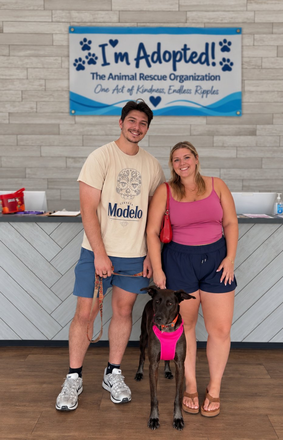 Bruno has found his forever home. Read this heartwarming adoption story and discover how one rescue dog’s journey led him to a loving family and a bright new future.