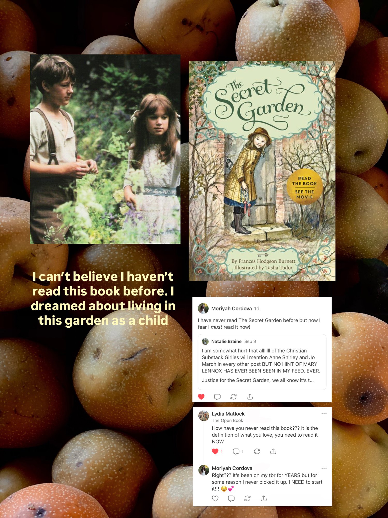 The Secret Garden book