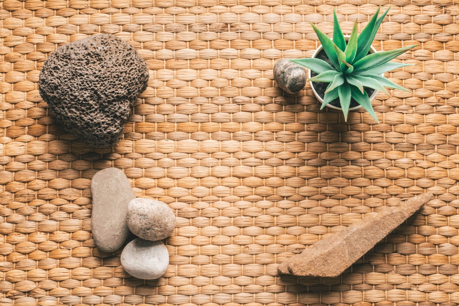 Bringing Nature Indoors: How Natural Décor Can Support Holistic Health