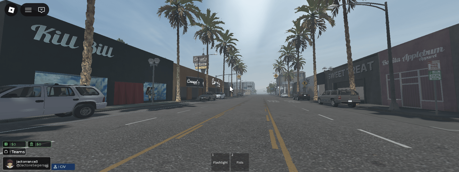 American commercial avenue with palm trees and vehicles