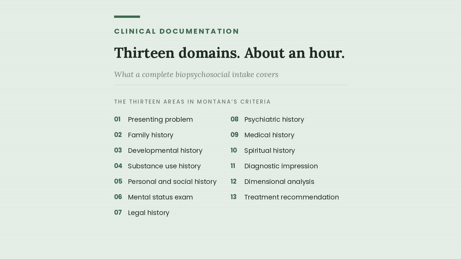The thirteen areas of a complete biopsychosocial assessment, from presenting problem to treatment recommendation
