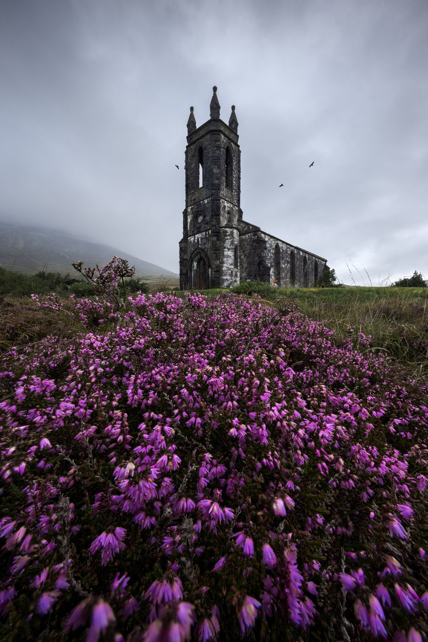 Ireland Abandoned Church Landscape photography heather