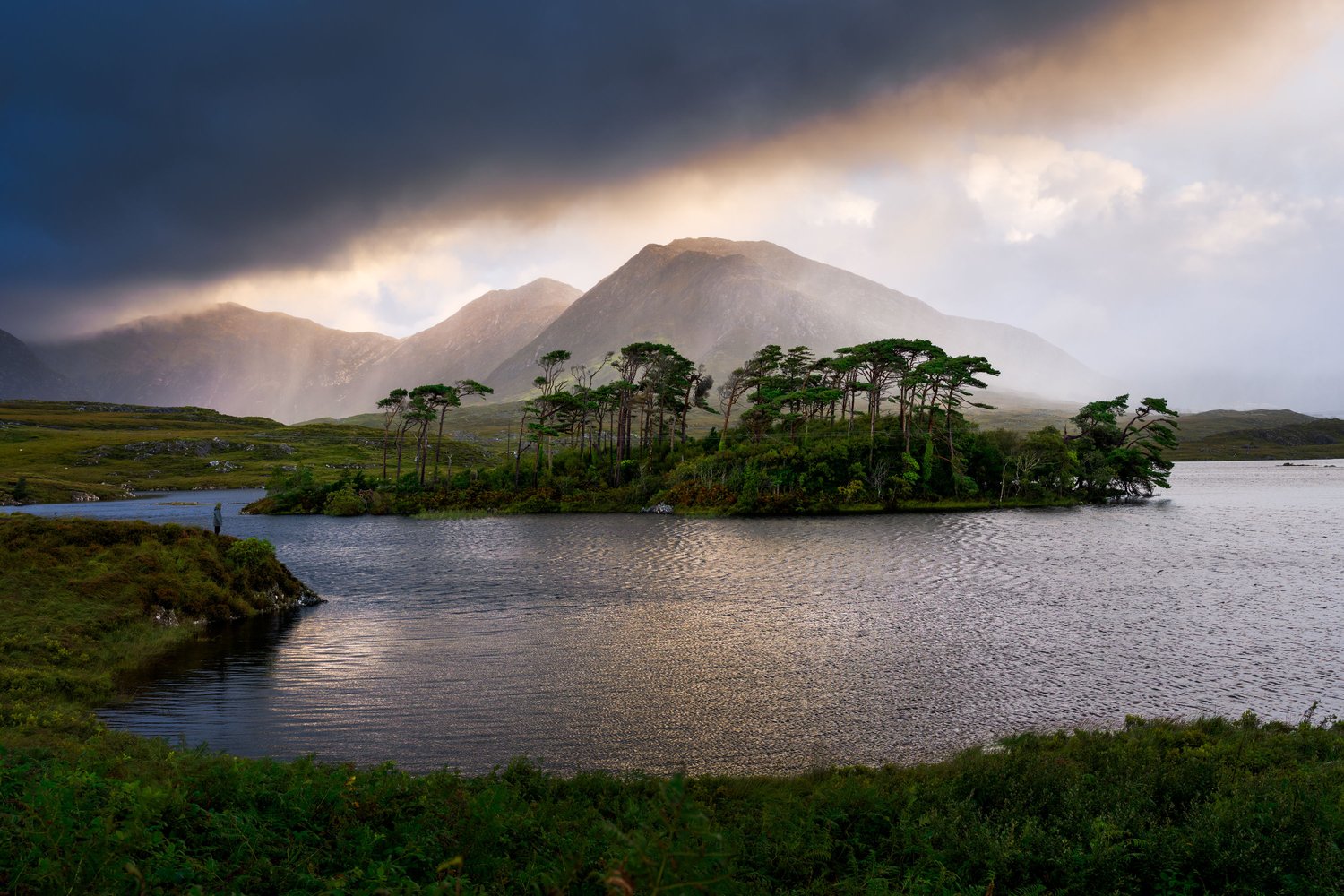 Ireland Connemara National Park Pine Island sunrise landscape photography shower moody_1