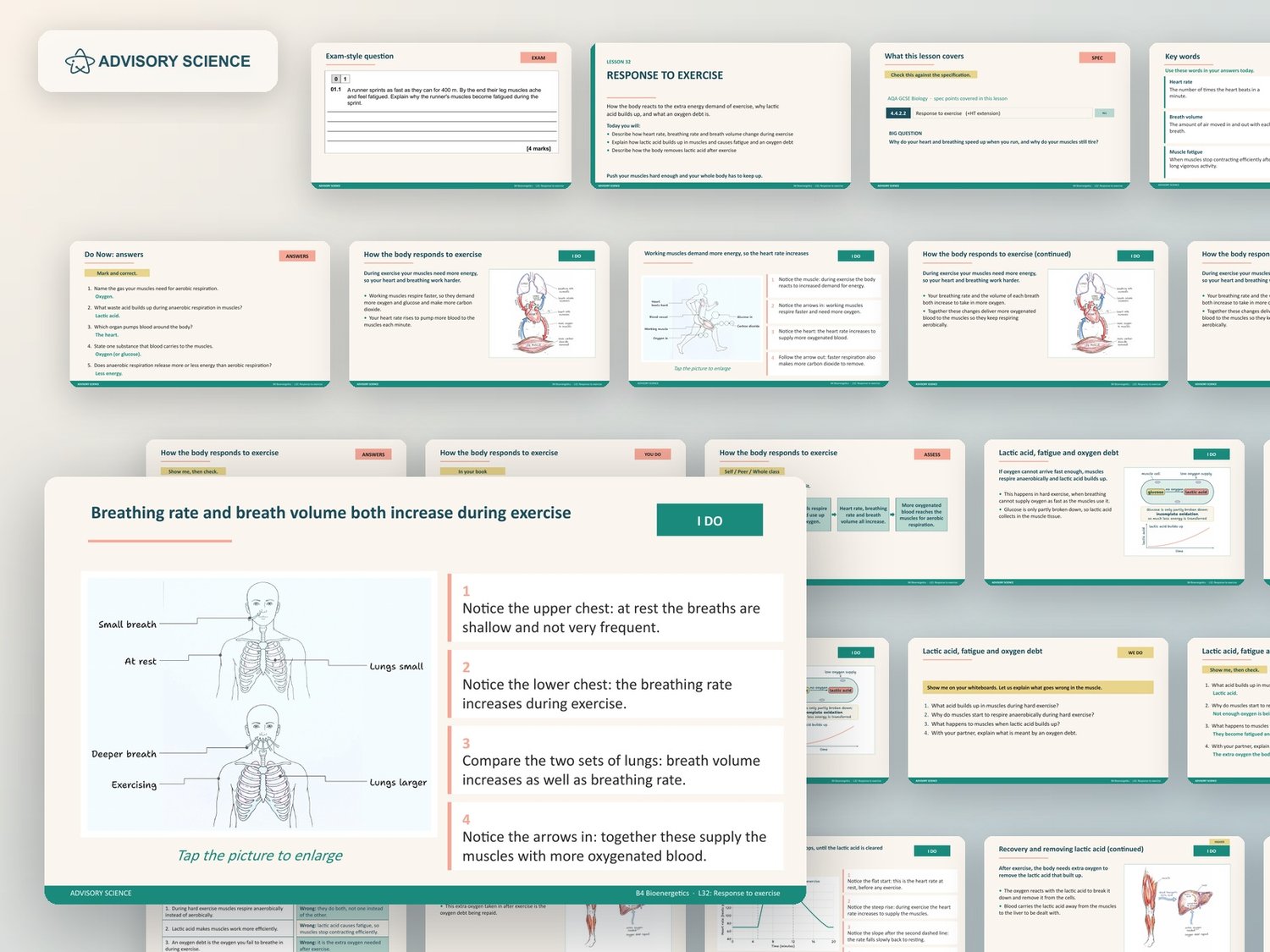 Bioenergetics Lessons PowerPoint | AQA GCSE Biology B4 8461, 7 Lessons: preview page 3 of 3
