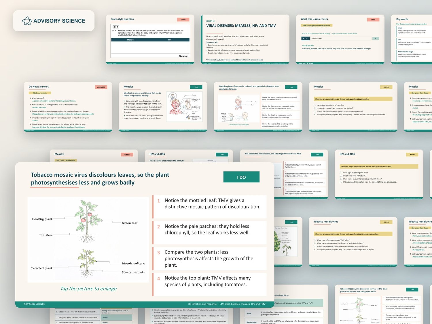 Infection and Response Lessons PowerPoint | AQA GCSE Combined Science Biology B3, 6 Lessons: preview page 3 of 3