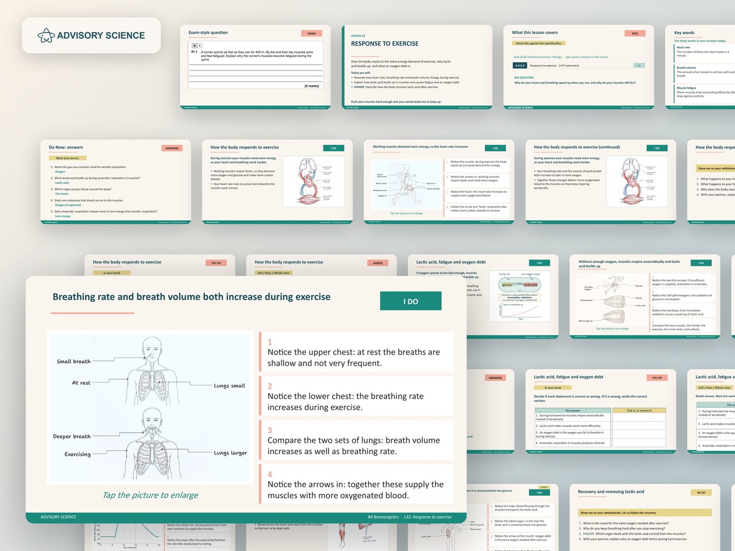 Bioenergetics Lessons PowerPoint | AQA GCSE Combined Science Biology B4, 7 Lessons: preview page 3 of 3