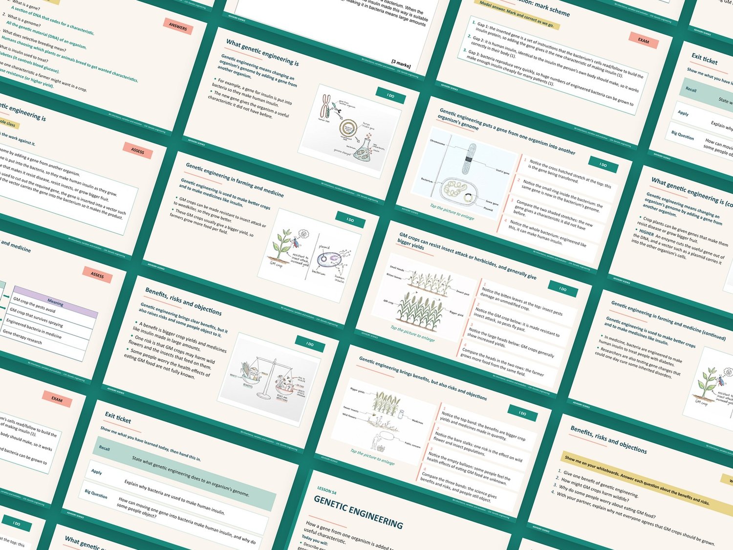 Inheritance, Variation and Evolution Lessons PowerPoint | AQA GCSE Combined Science Biology B6, 12 Lessons: preview page 2 of 3