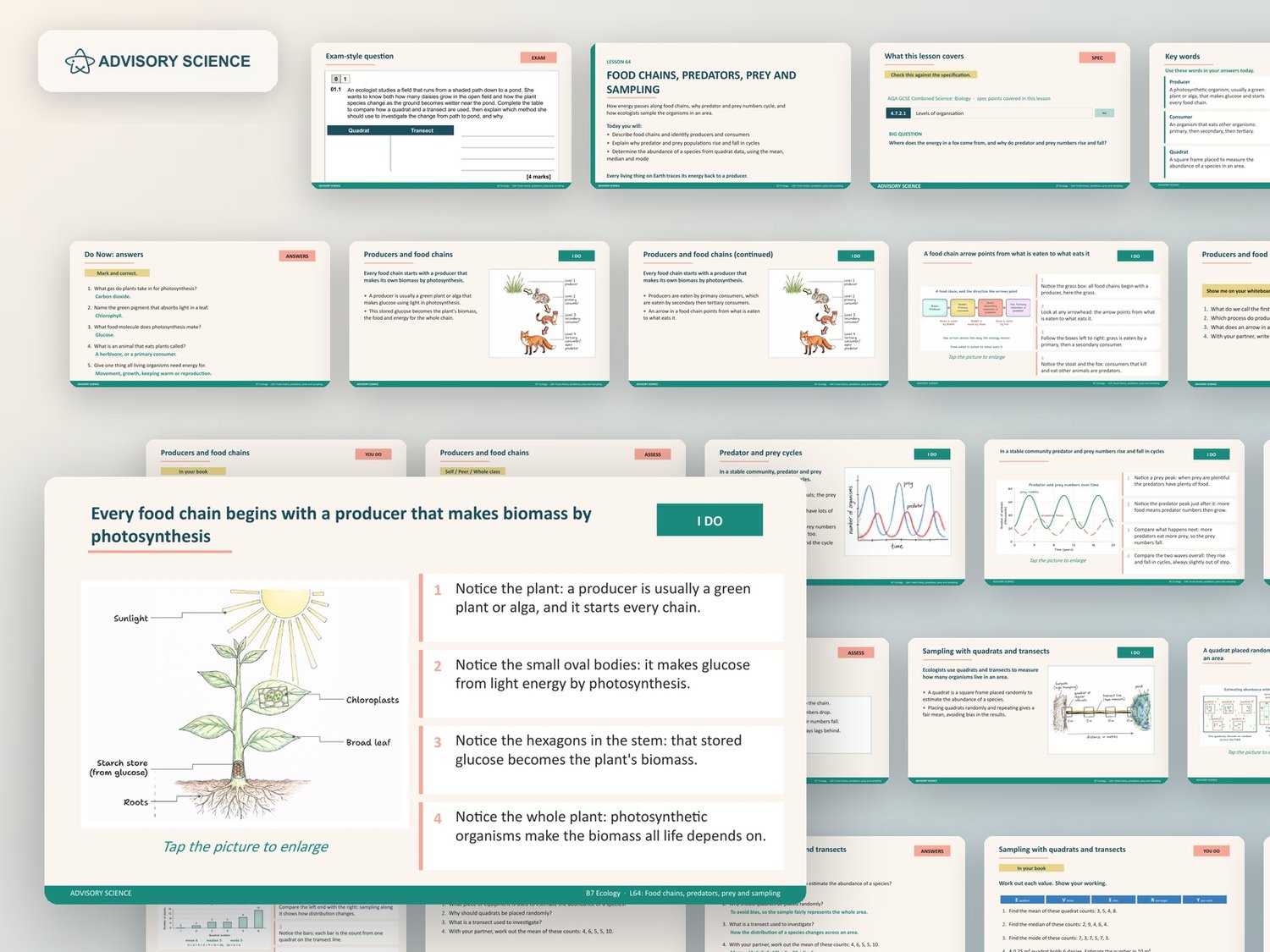 Ecology Lessons PowerPoint | AQA GCSE Combined Science Biology B7, 9 Lessons: preview page 3 of 3