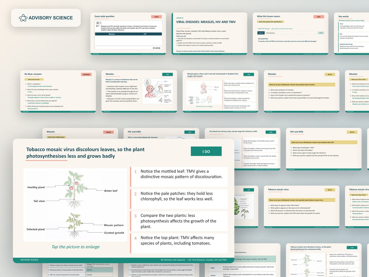 Infection and Response Lessons PowerPoint | AQA GCSE Biology B3 8461, 10 Lessons: preview page 3 of 3
